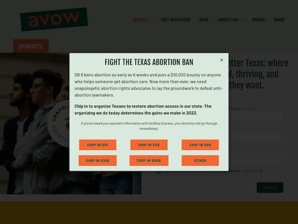 Screenshot of AVOW Texas