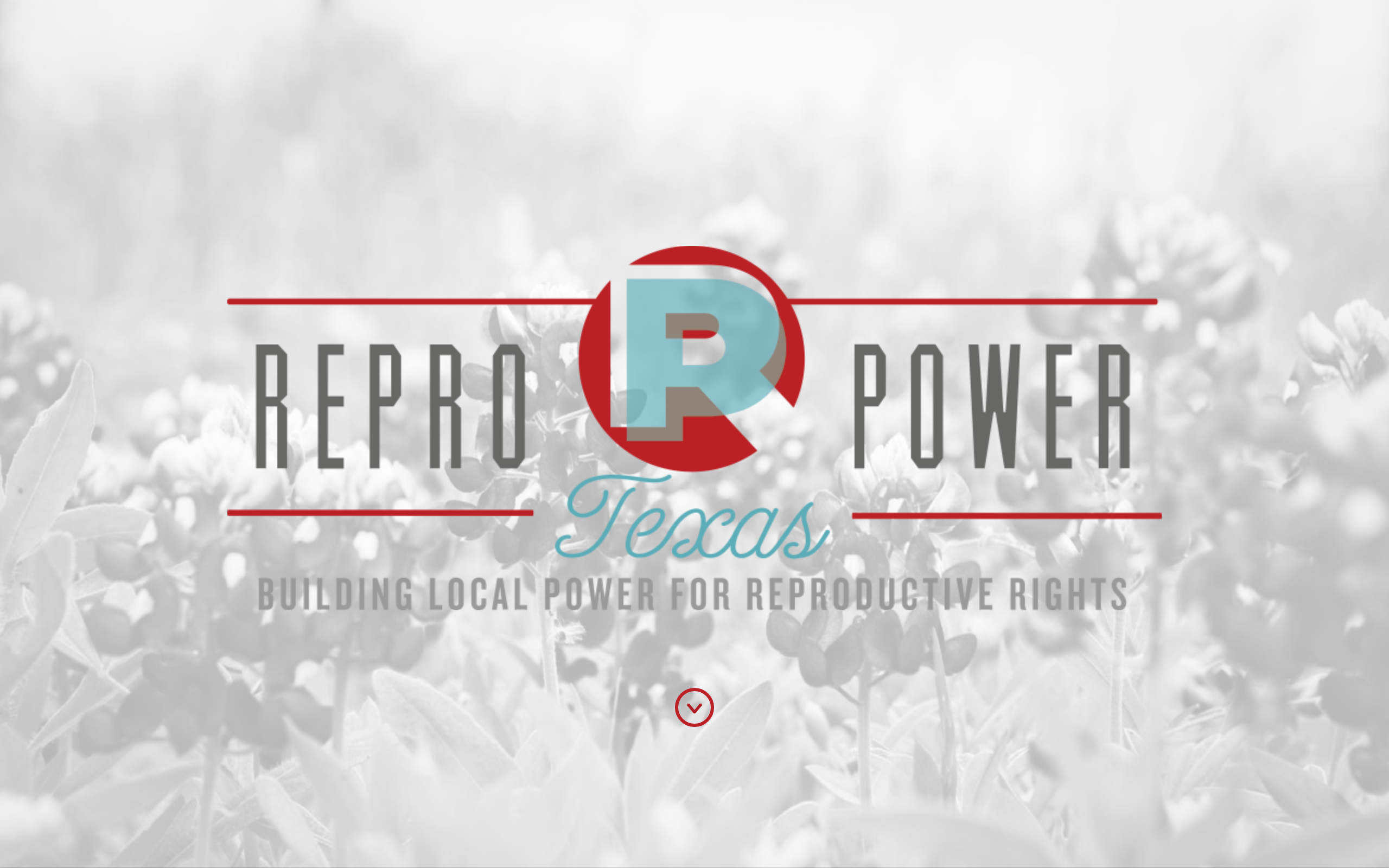 Screenshot of Repro Power